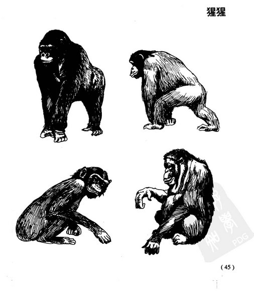 ϴȫ